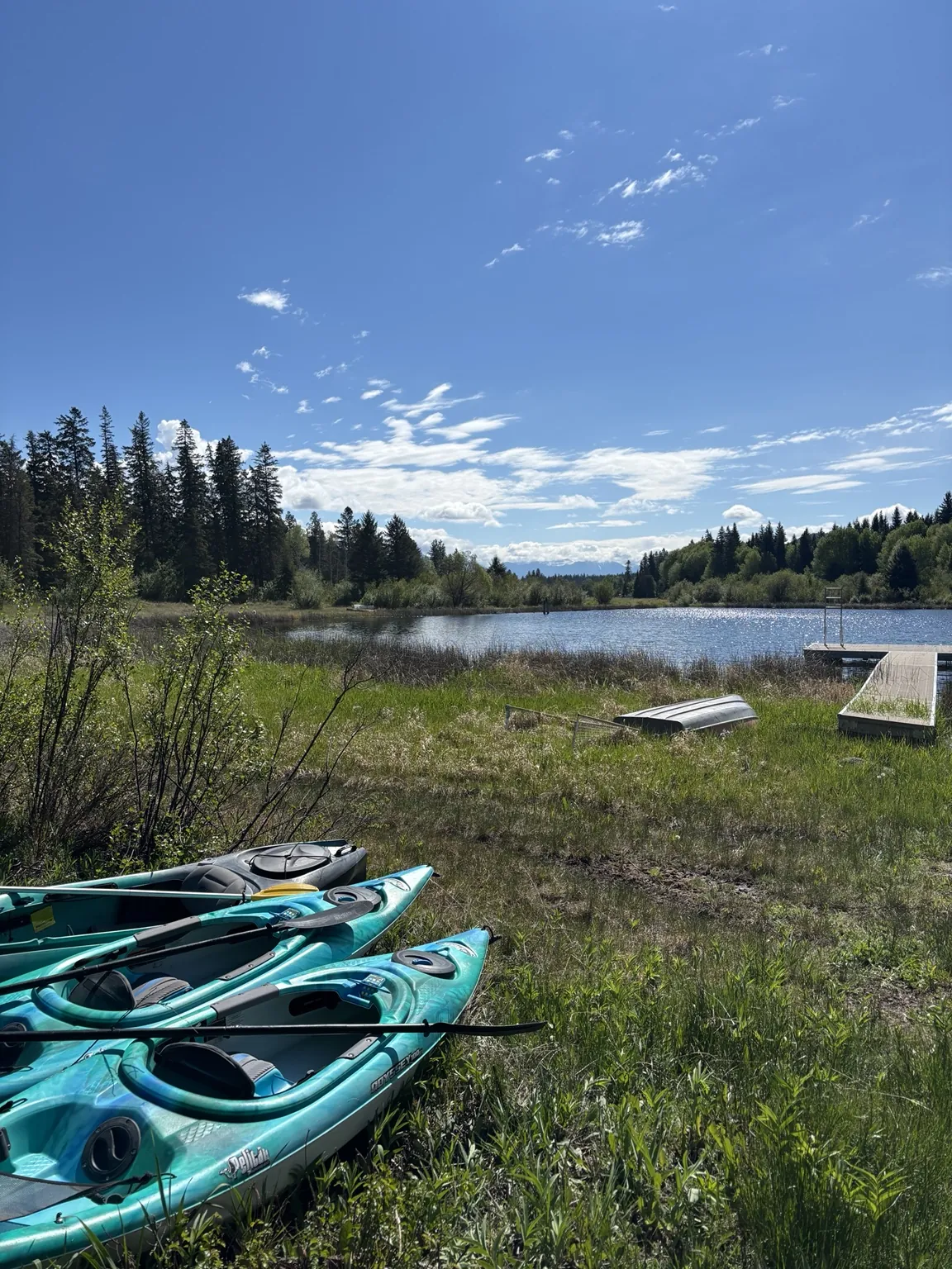 Kayaks beside the water