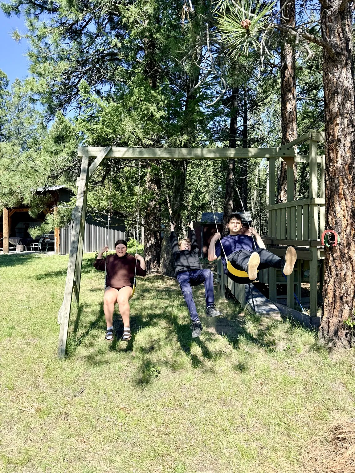 Children enjoying the swings